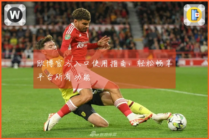 欧博官方入口使用指南，轻松畅享平台所有功能