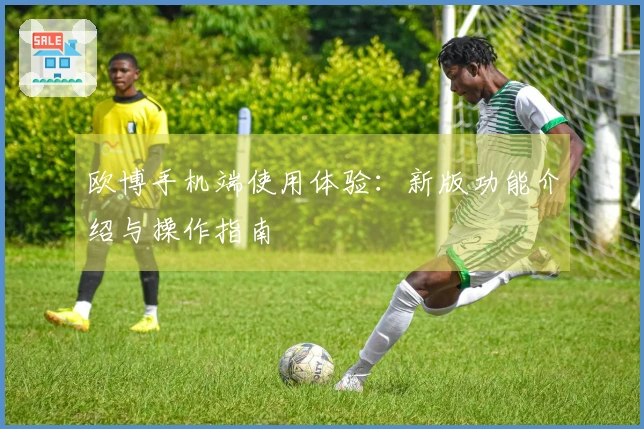 欧博手机端使用体验：新版功能介绍与操作指南